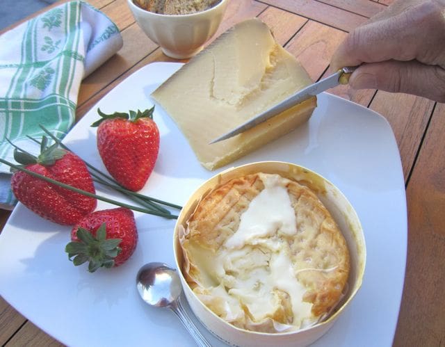 Cheese virgin2 Cheese virgin2